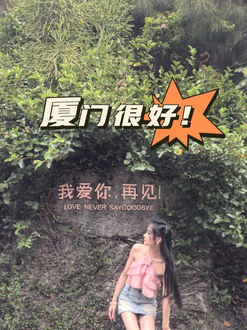 网站定制开发：让企业形象飞得更高